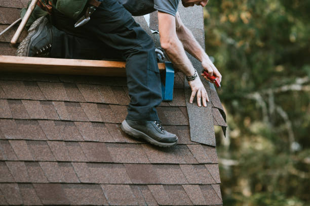 Best Metal Roofing Contractor  in Palo Cedro, CA